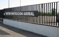 Los animales del Centro de Protección Animal quedan abandonados a su suerte