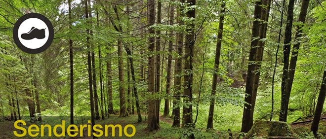 senderismo cdm orihuela costa