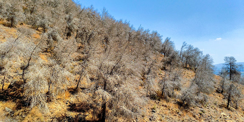 2-desastre-sierra-de-orihuela-21-09-2016