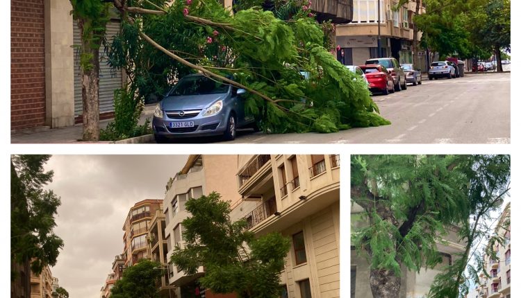 ©Victor M Ruiz Saéz